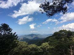 -清迈丛林飞跃 JungleFlight