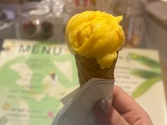 -莉莉熊Lililove Gelato (意大利手工冰淇淋)