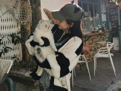 -喵屿·大理花园猫咖