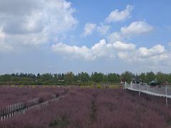-嘉北郊野公园