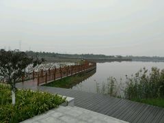 -东丽湖风景区