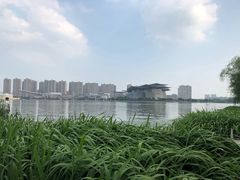 -高子水居