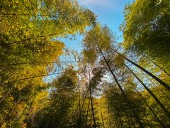 -会稽山峡洞漂流-上青古道