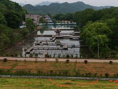 -江西景德镇玉田湖国家湿地公园
