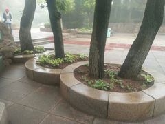 -燕窝岭