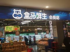 门面-盒马鲜生(宝地店)