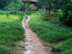 -莲花池公园