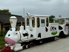 -杭州湾海上花田景区