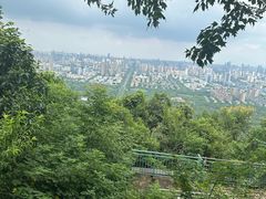 -大蜀山国家森林公园