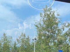 -宝荣鱼馆·临湖之宴(千岛湖店)