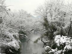 -西湖游船
