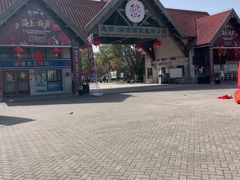 -上海海湾国家森林公园