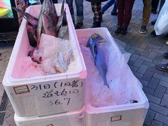 -大起水产回转寿司(道顿堀店)