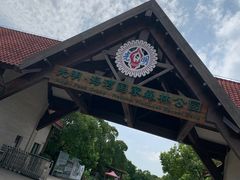 -上海海湾国家森林公园