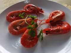 白灼海中虾-旺富东海大酒楼(海鲜街店)