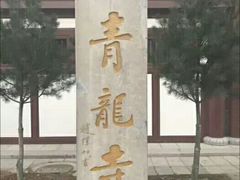 -西安青龙寺遗址景区