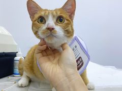 -太原东方动物医院(小店分院)