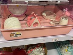 -钓仓鼠(洋桥北里小区店)