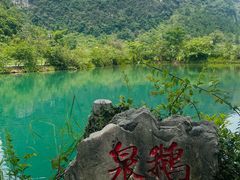 -靖西鹅泉风景区