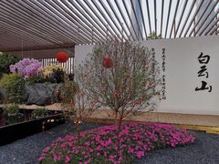 -海心沙亚运公园