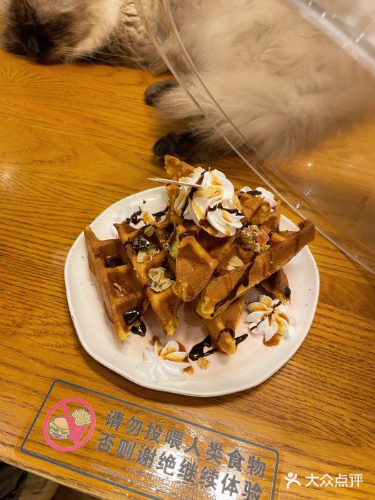 猫小主咖啡·猫咖cat cafe(福田店)燕麦焦糖华夫饼图片