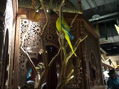 -楼兰新疆主题餐厅(苏州中心店)