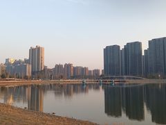 -金沙湖公园