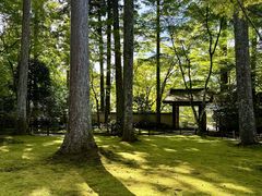 -三千院