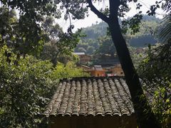 -杨家堂村