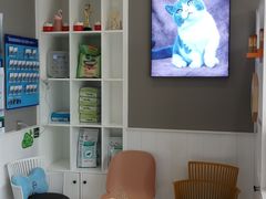 -关爱宠物医院·猫科中心·消化科(滨湖万达分院)