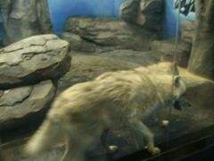 -梦幻海洋王国(吾悦广场张家港店)
