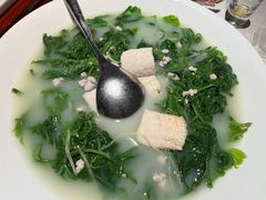-大鸽饭(动物园店)
