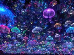 -上海梵高星空艺术馆(南京路旗舰店)