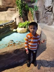 -宝燕乐园(闵行旗舰店)