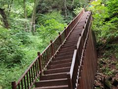 -天女山森林公园