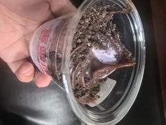 -蜜雪冰城(四惠东店)