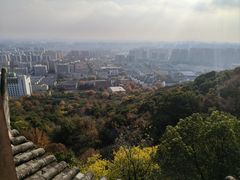 -杭州半山国家森林公园