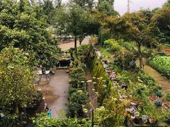 -乌石村