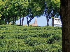 -上海佘山国家森林公园西佘山园