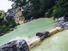-吴淞炮台湾湿地森林公园烧烤区