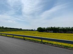 -天津武清北运河郊野公园房车露营地