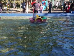 -大兴滨河森林公园