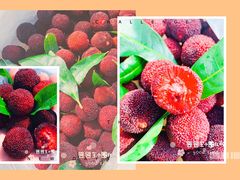 -花果山生鲜超市(浑河湾店)