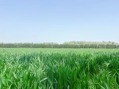 -汉长安城未央宫国家考古遗址公园