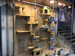-米卢宠物公园(广华居店)