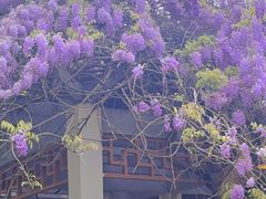 -郑和公园