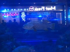 -成都浩海立方海洋公园