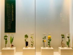 -广东中医药博物馆