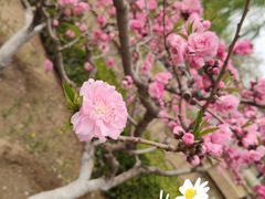 -海棠花溪(元大都城垣遗址公园)