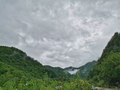 -牛背梁国家森林公园